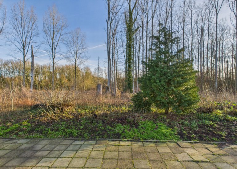  Drieschouwen 13, Axel