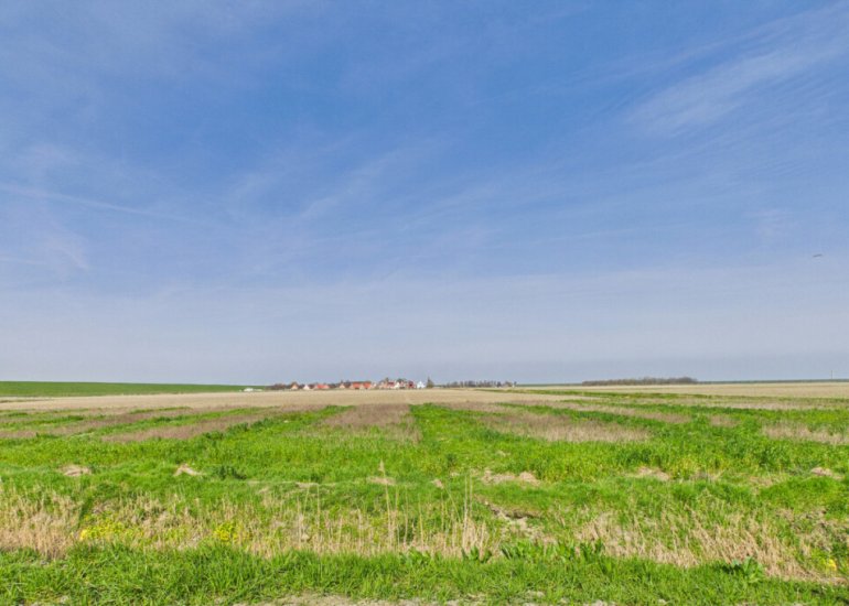  Zeedorp 7, Ossenisse