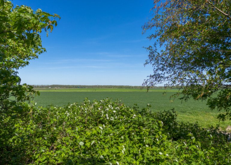  Graafjansdijk B 37, Westdorpe
