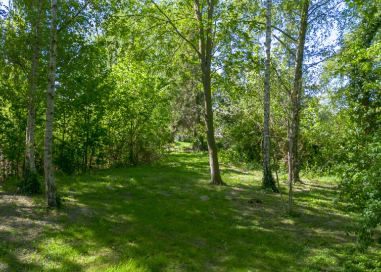  Graafjansdijk B 37, Westdorpe