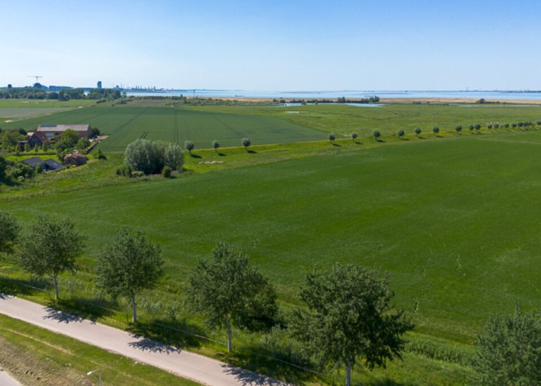  Val 9, Zaamslag