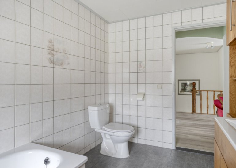  Carmelweg 3, Hulst