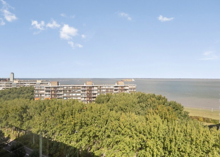  Fahrenheitlaan 646, Terneuzen