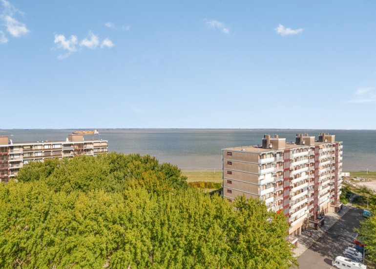  Fahrenheitlaan 646, Terneuzen