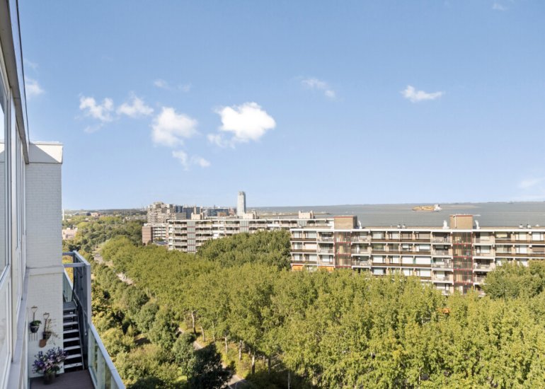  Fahrenheitlaan 646, Terneuzen