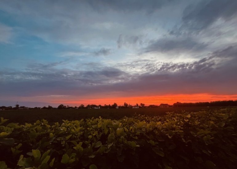  Vierhonderdpolderdijk 2, Cadzand