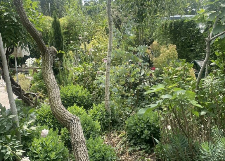  Langs de Kreek 37, Terneuzen