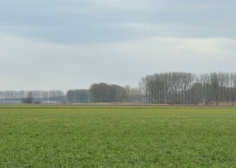  Matthijsstraat 25, Koewacht