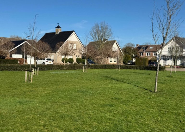  Ridder Robertstraat 5, Zaamslag