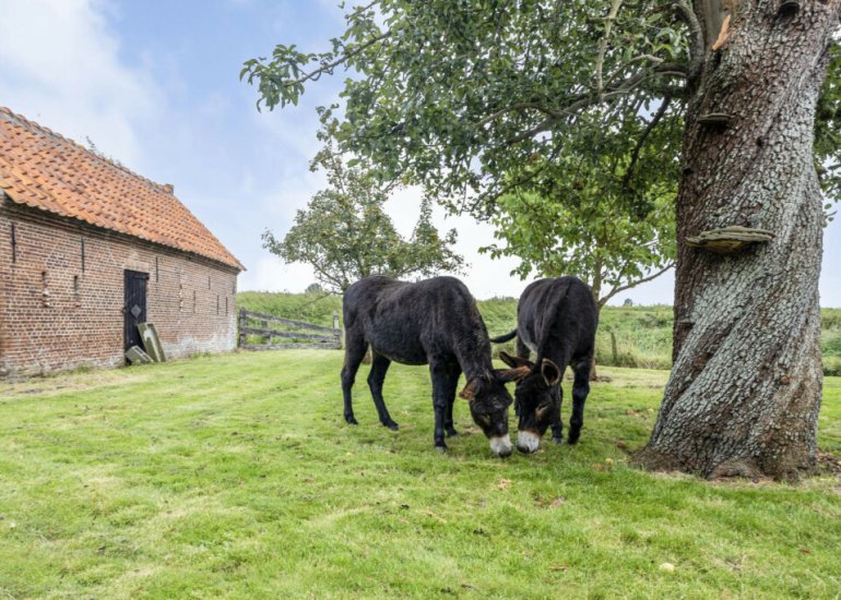  Steenhovensedijk 17, Waterlandkerkje