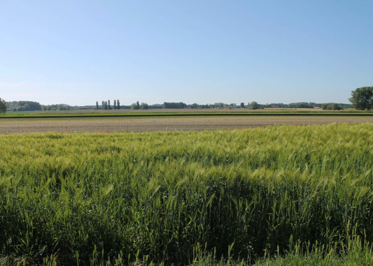  Zelzaetseweg 10, Zuiddorpe