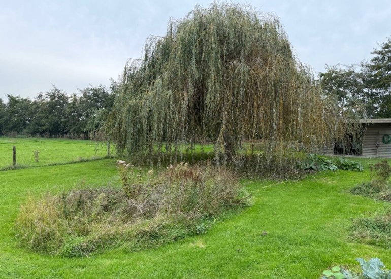  Zuidlangeweg 2, Hoofdplaat