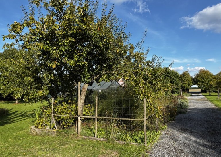  Zuidlangeweg 2, Hoofdplaat