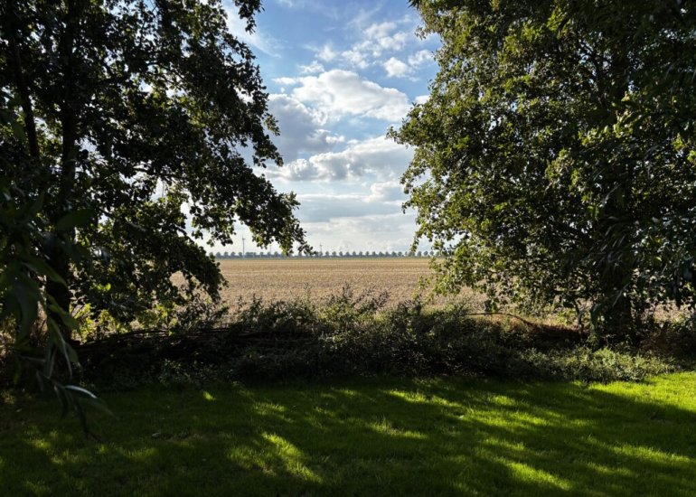  Zuidlangeweg 2, Hoofdplaat