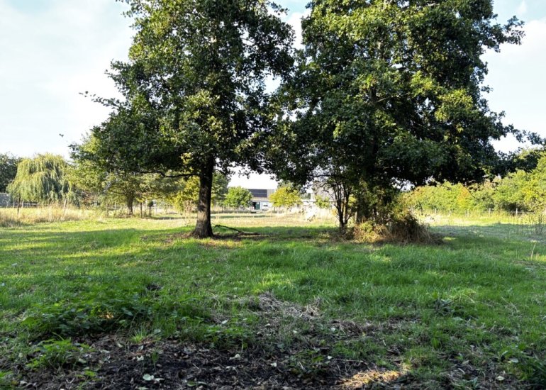  Zuidlangeweg 2, Hoofdplaat