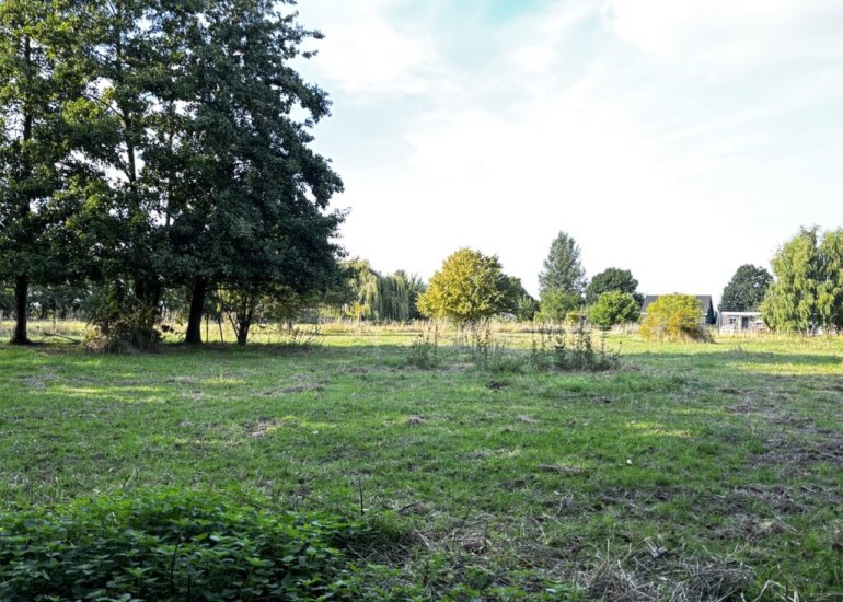  Zuidlangeweg 2, Hoofdplaat