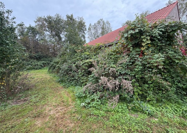  Oranjedijk 29, Ijzendijke