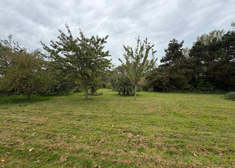  Oranjedijk 29, Ijzendijke