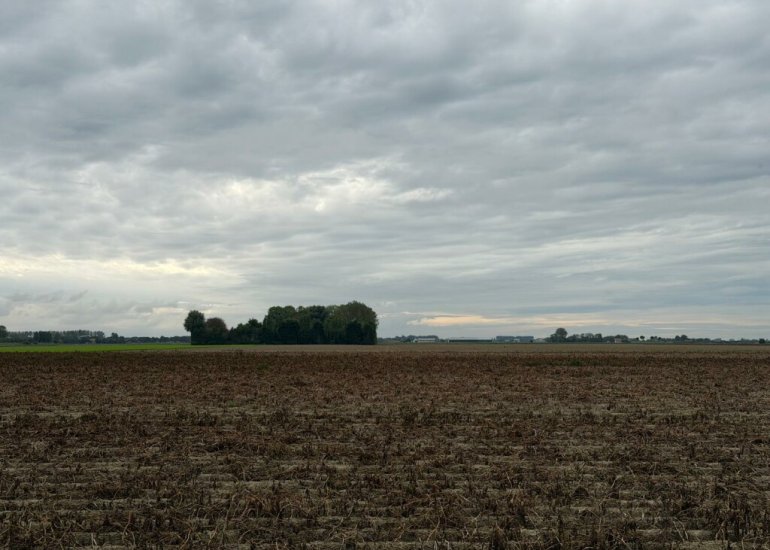  Oranjedijk 29, Ijzendijke