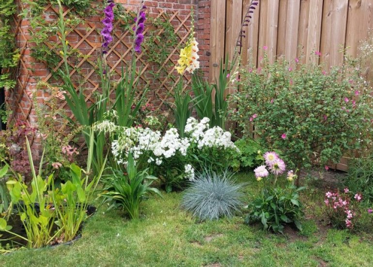  Tramstraat 53, Terneuzen