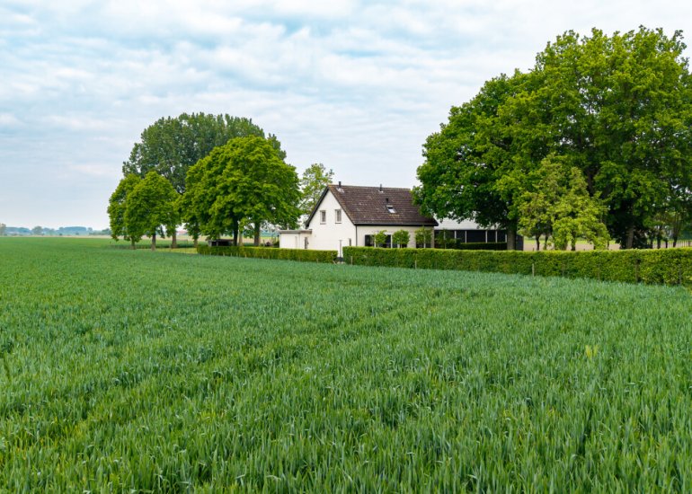  Noordstraat 44, Hoek