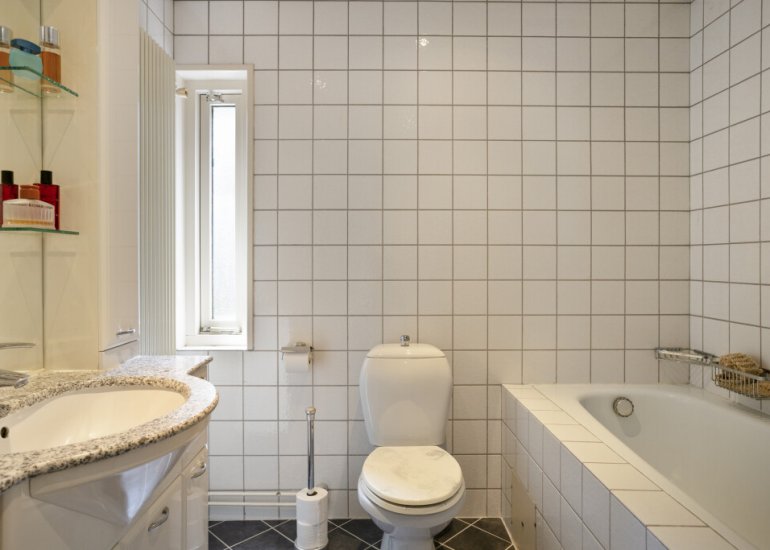  Valeriaanstraat 46, Terneuzen