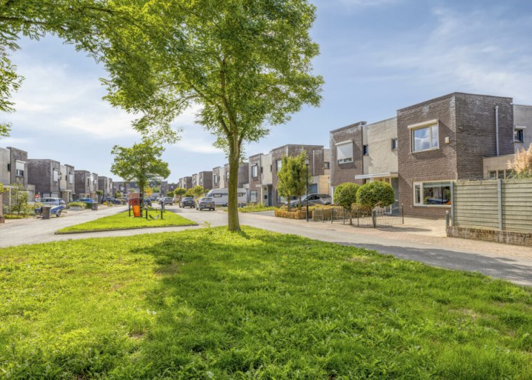  Roerdomp 1, Terneuzen