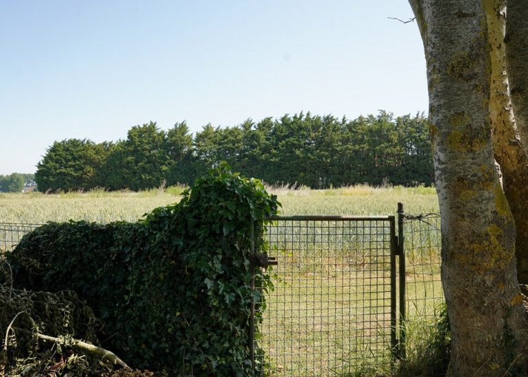  Mariastraat 18, Zuidzande