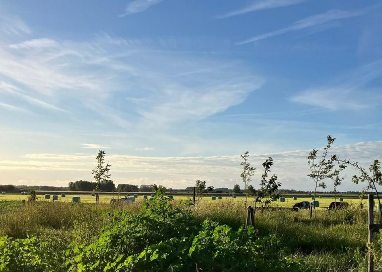  Zuiderbruggeweg 13, Sluis