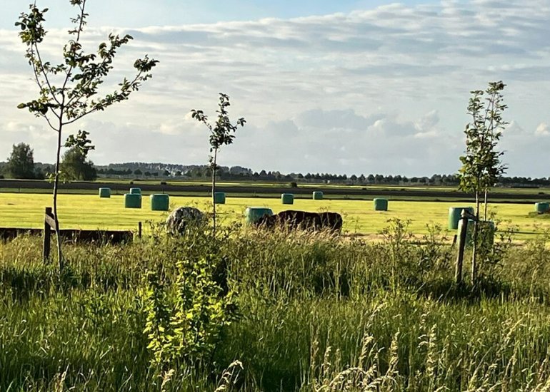  Zuiderbruggeweg 13, Sluis