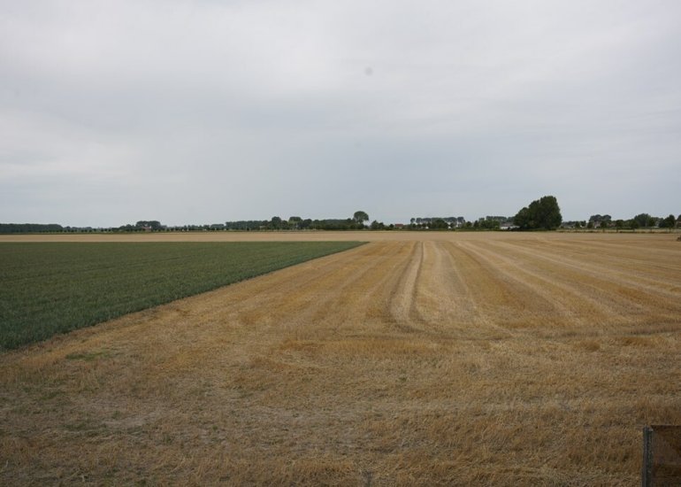 Ter Moere 4, Nieuwvliet