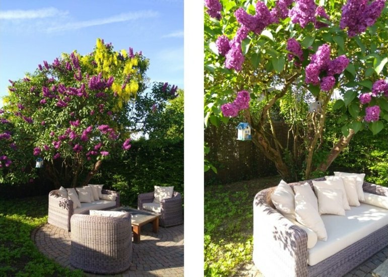  Nieuwstraat 7, Groede