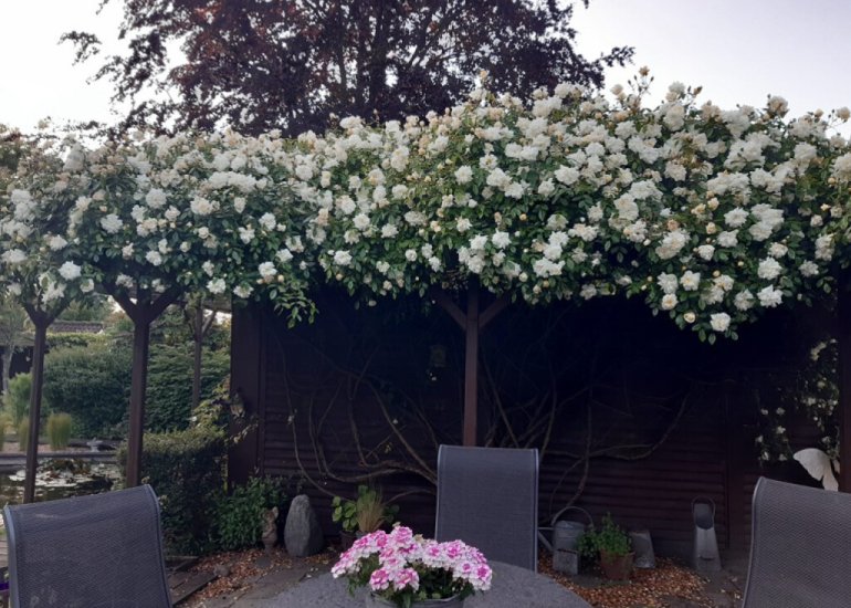  Eedeweg 22, Aardenburg