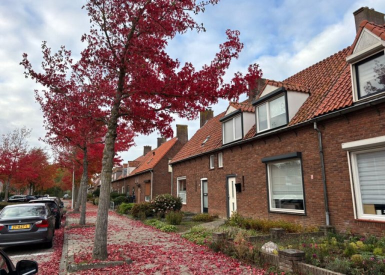  Van Der Slikkestraat 5, Schoondijke