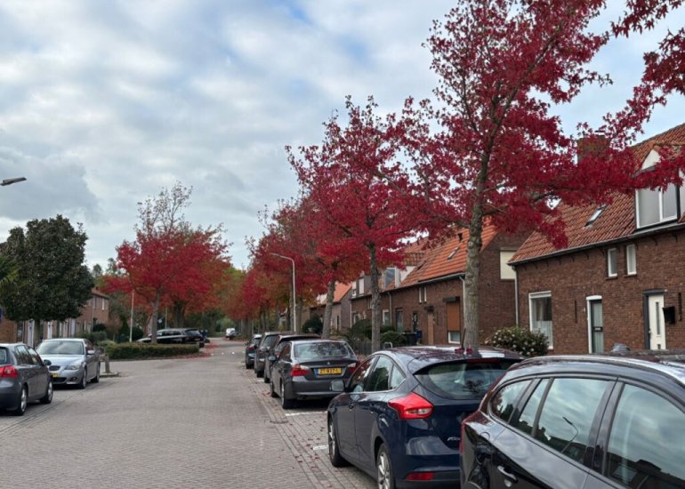  Van Der Slikkestraat 5, Schoondijke