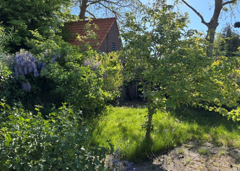  Koninginnestraat 41, Ijzendijke