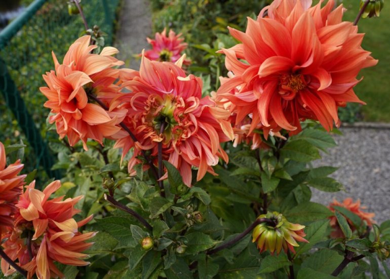  KWL-Park 38, Oostburg