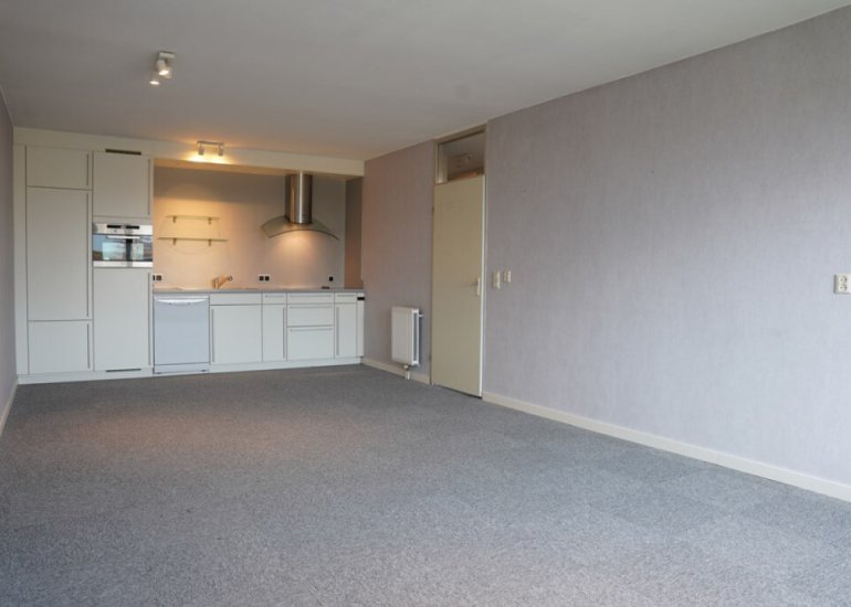  Grote Beer 8033, Oostburg