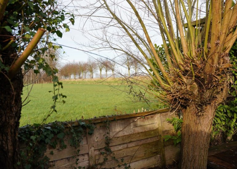  Oranjedijk 25, Ijzendijke