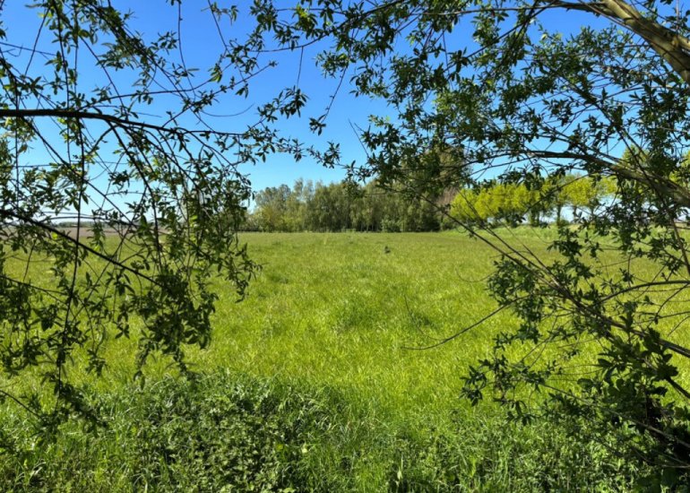  Oranjedijk 25, Ijzendijke
