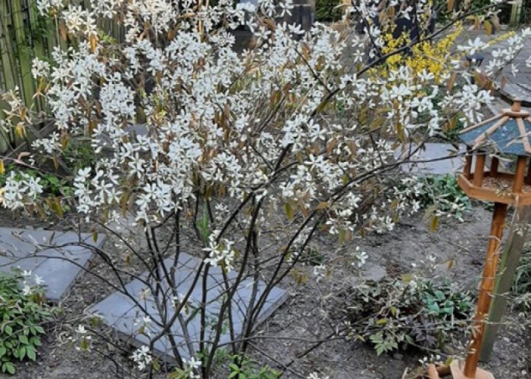  Oud Vlissingen 30, Hoek