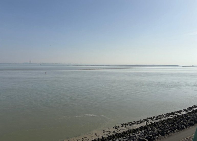  Port Scaldis 5062, Breskens
