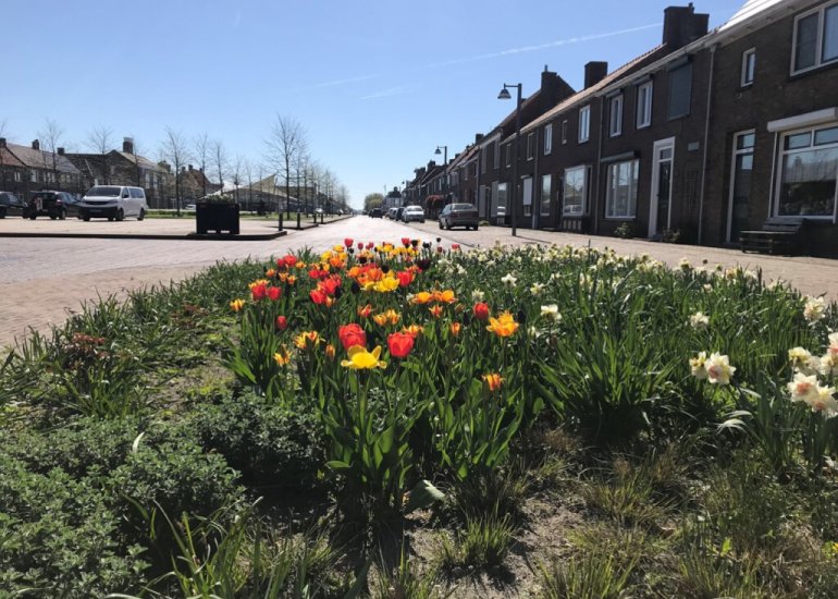  Dorpsstraat 22, Schoondijke