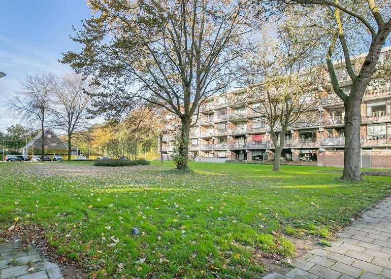  Witte de Withstraat 81, Terneuzen