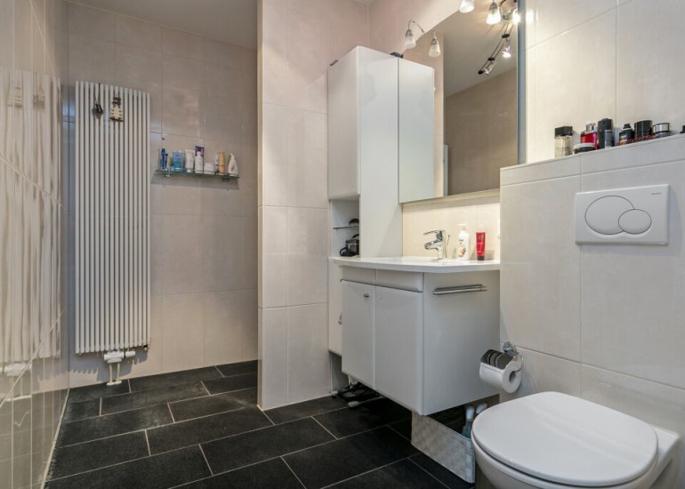 Schuttershof 74, Terneuzen