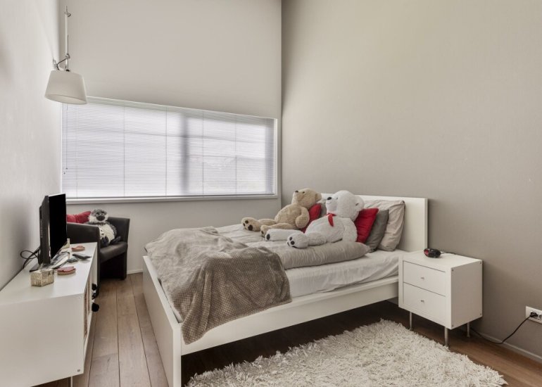 Willem Barentszlaan 12, Hulst