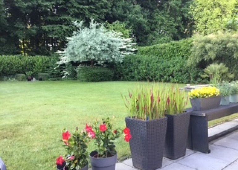  Koekoeksbloem 4, Hulst