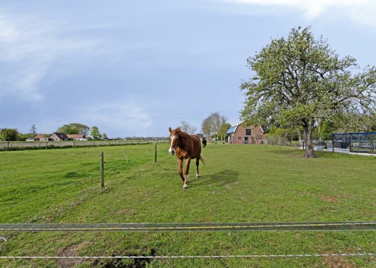  Nieuwlandseweg 3, Biervliet
