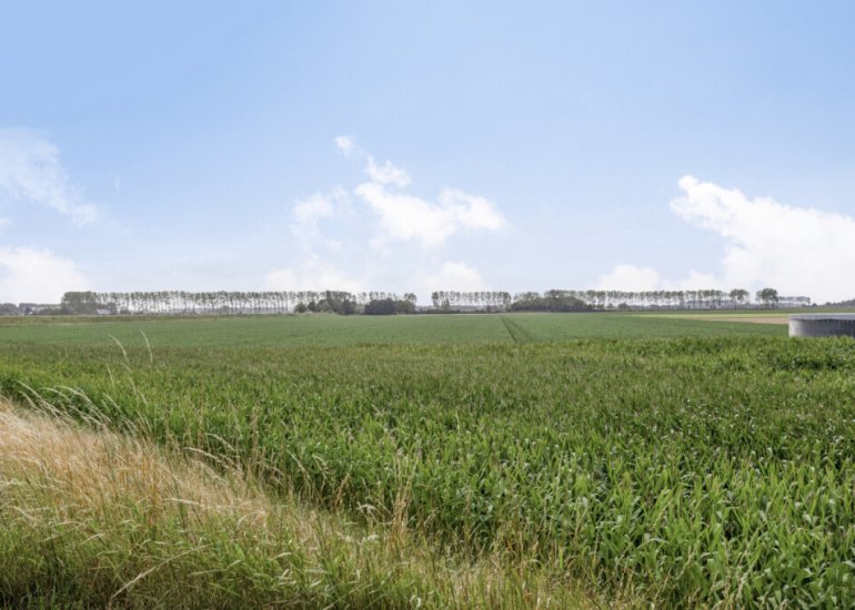  Achtereindstraat 26, Graauw