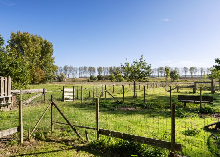  Dorpsstraat 54, Graauw